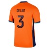 Camiseta de fútbol Países Bajos De Ligt 3 Primera Equipación Euro 2024 - Hombre